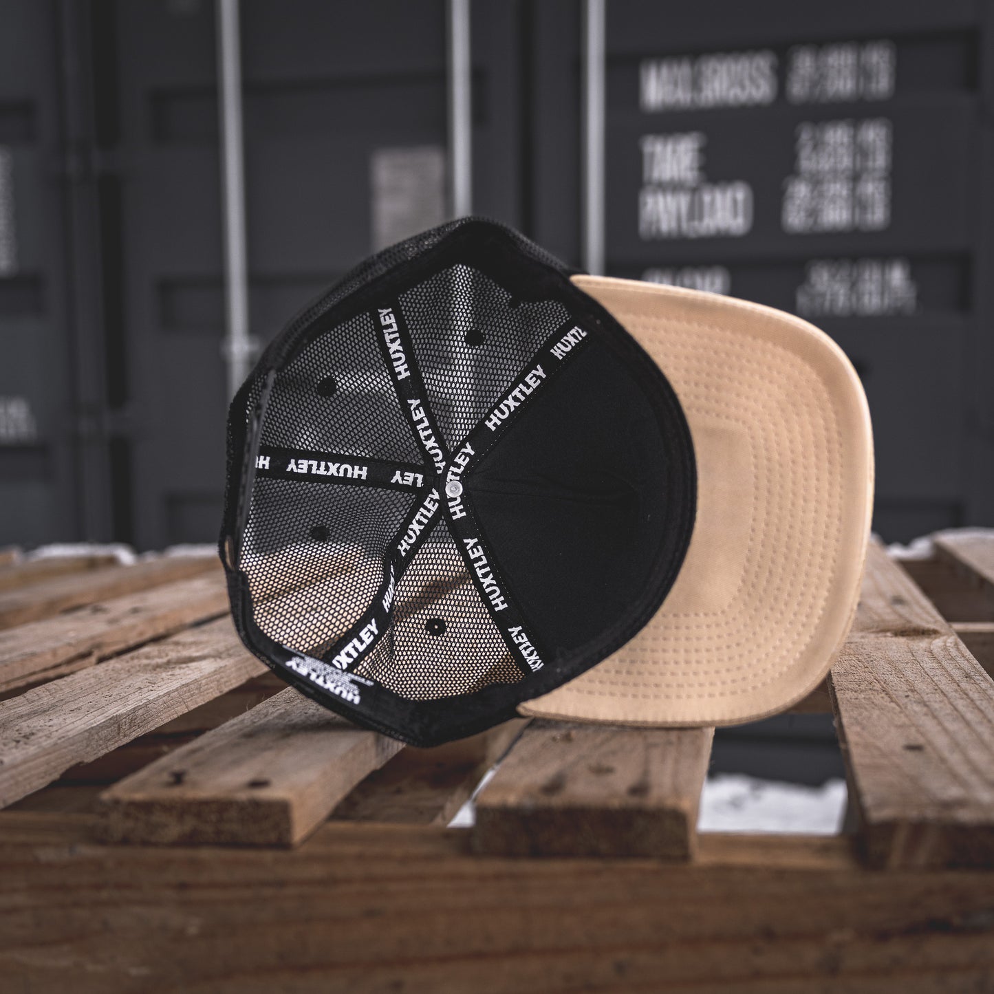 
                  
                    Casquette "Rodeo Division" Sable/ Noir
                  
                